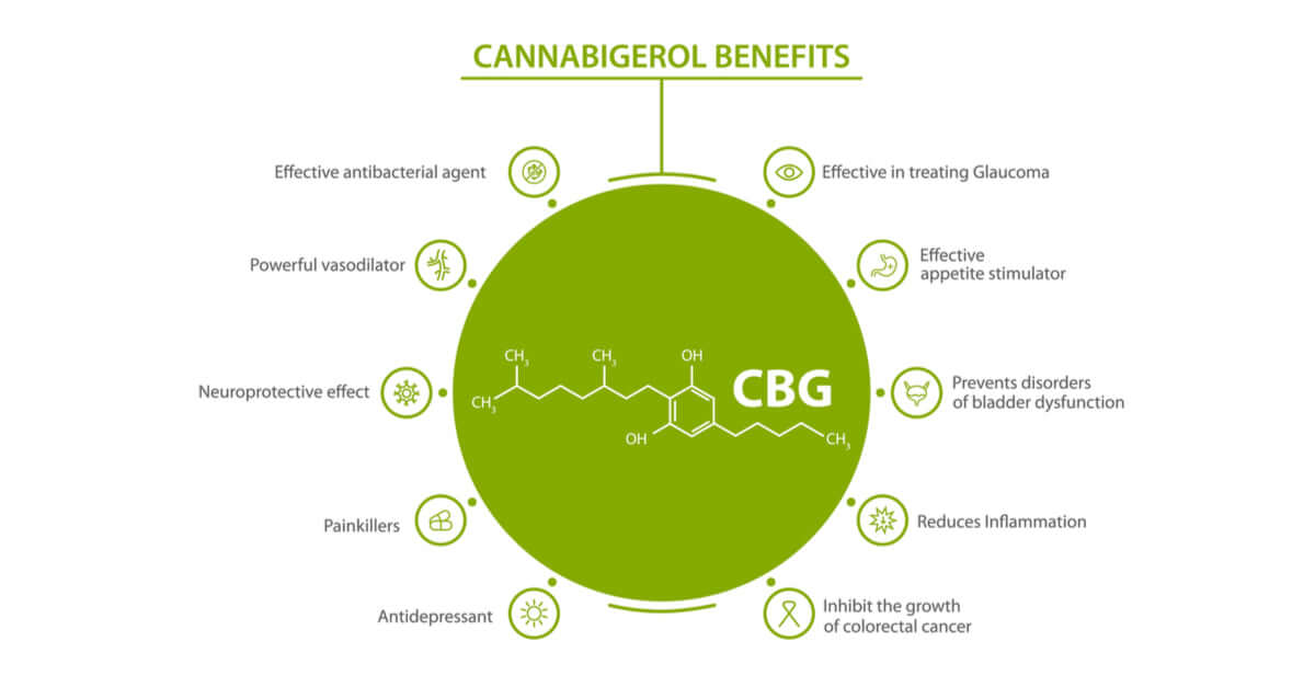 What is CBG? Cannabigerol Benefits